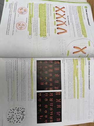 Bioloxía e Xeoloxía, 4 Secundaria, Revoa