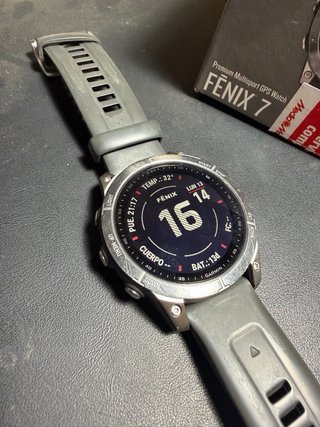 Garmin Fenix 7 Plata y Negro