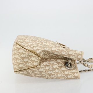 Christian Dior Trotter Canvas Chain Romantic Bag