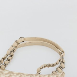 Christian Dior Trotter Canvas Chain Romantic Bag