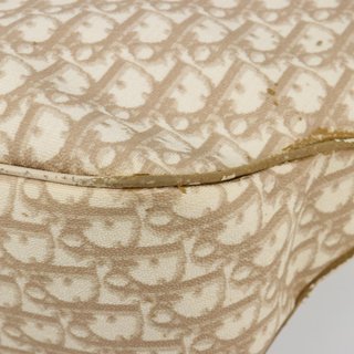 Christian Dior Trotter Canvas Chain Romantic Bag