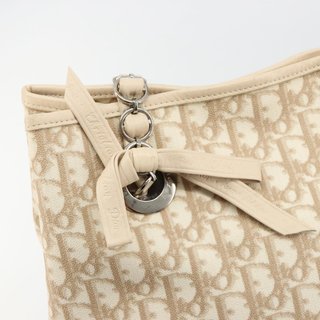 Christian Dior Trotter Canvas Chain Romantic Bag