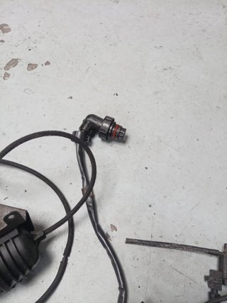 Cableado Motor BMW M57 306D5