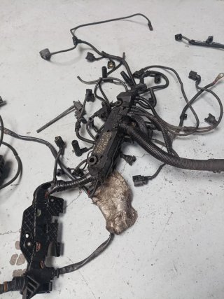 Cableado Motor BMW M57 306D5