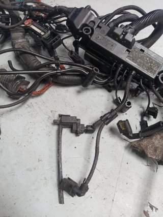 Cableado Motor BMW M57 306D5