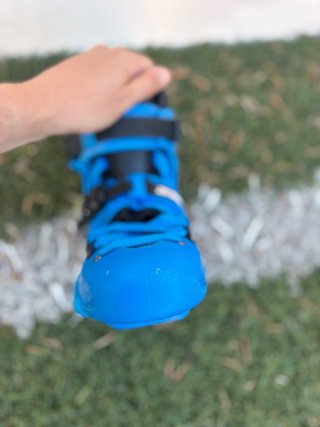 Patines. Botas SEBA FR1