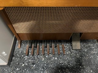 Órgano Hammond L100