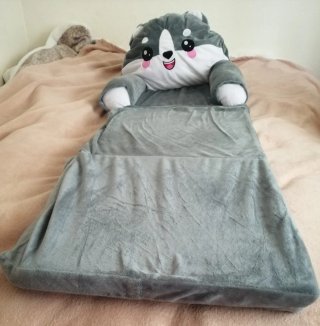 Cama para gatos