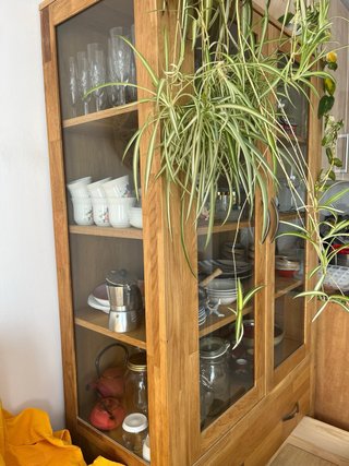 Vetrina elegante in legno e vetro
