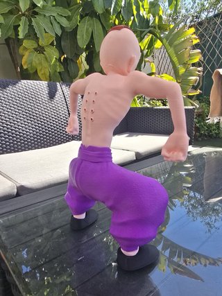 Figura Maestro Roshi 3D