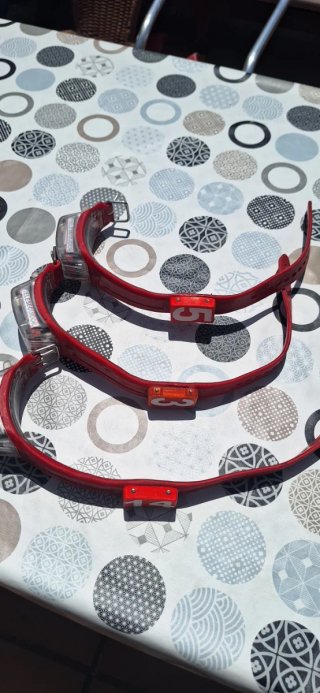 11 Collares teleseguidor GPS R10 Perros Caza