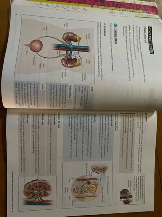 Biologia i Geologia 3, Secundària, Fanfest Baula