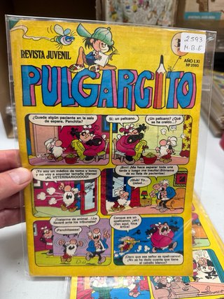 Revista Pulgarcito 10 números (lote 68)