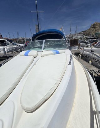 Barco Lema 2 Gold  Bra