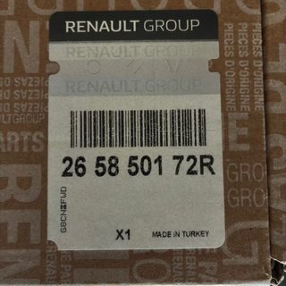 Faro Antiniebla Trasero Renault Austral E-Tech