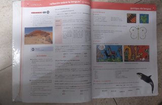 Lengua Castellana Y Literatura 1 Eso, Código Ab...