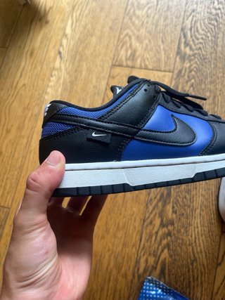 Nike Dunk Low Azul y Negro