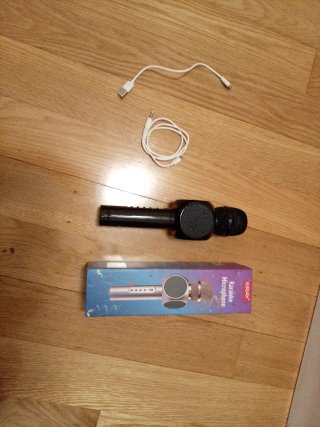 Micrófono Karaoke ERAY Negro/Plateado