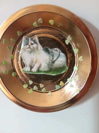 2 Calamite con Gatti