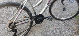 Bicicleta Mountain Bike plateada