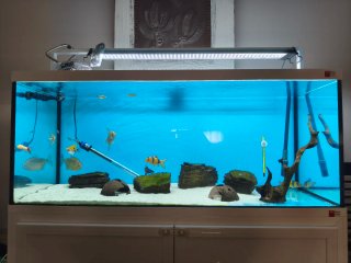 Acuario 300L con mueble blanco