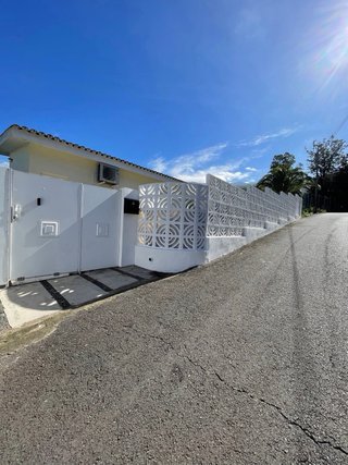 Pintor Económico