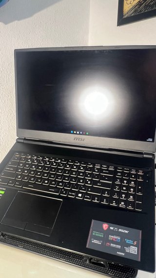 Portátil Gaming MSI GL75 9SDk GTX 1660 TI