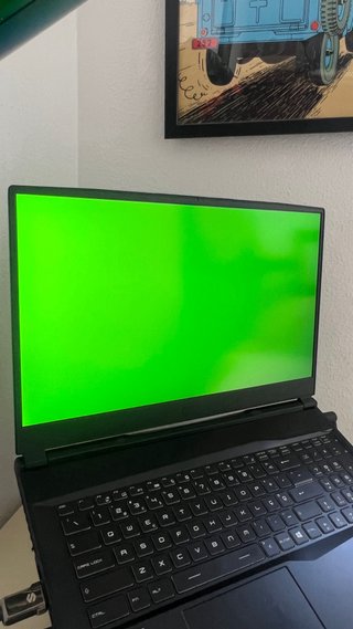 Portátil Gaming MSI GL75 9SDk GTX 1660 TI