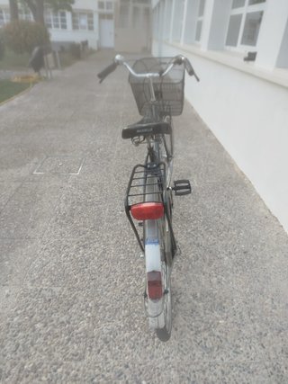 Bicicleta Paseo holandesa Gazelle Negra