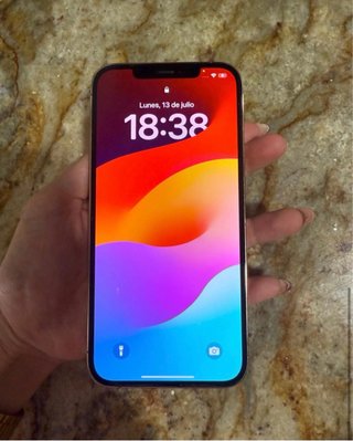 iPhone 12 Pro Max Oro 256GB - Parte posteriore rotta