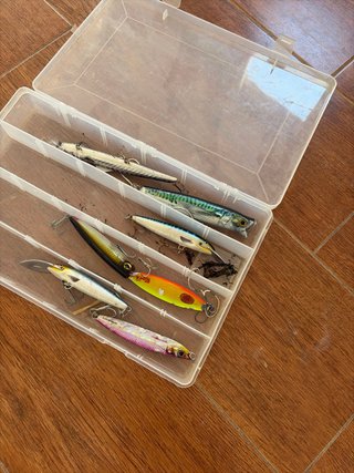 Lote de pesca: cañas, carretes y señuelos