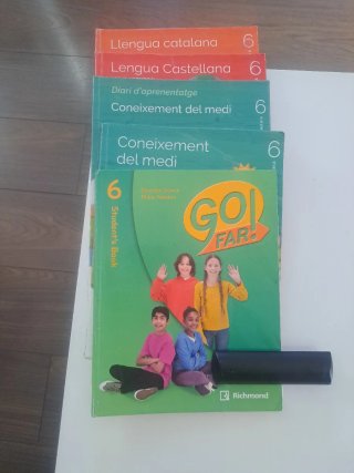 Libros sexto primaria regina carmeli