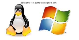 tecnico sistemas informaticos