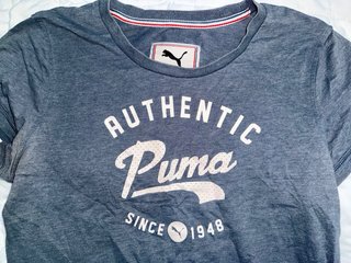 Camiseta Puma Authentic Gris Talla L
