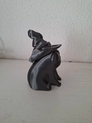 Figura Rana Bruja Impresión 3D