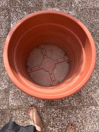 Maceta grande plastico tipo terracota 62 cm