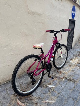 Bicicleta Rosa Talla 17