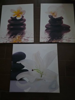 Cuadros Zen Flores y Piedras