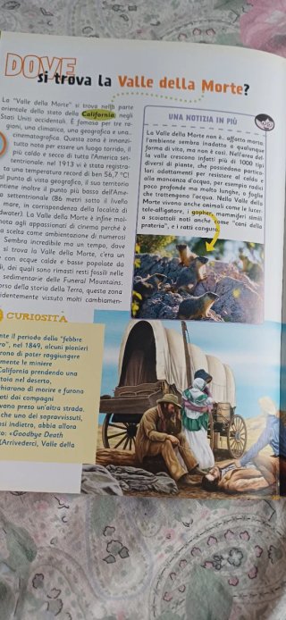 Il libro del dove