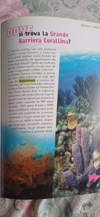 Il libro del dove
