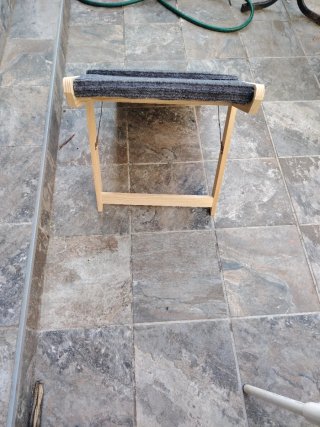 Rampa para mascotas azul