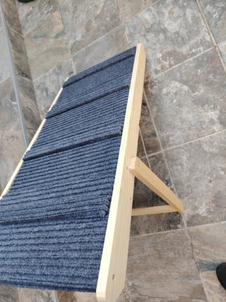 Rampa para mascotas azul