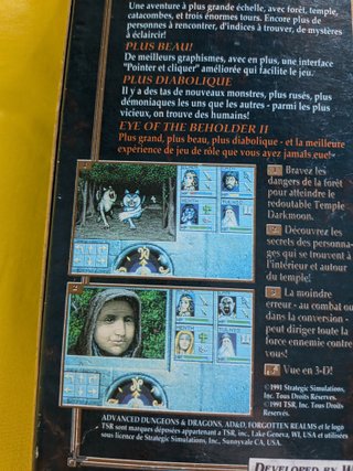 Advanced Dungeons & Dragons: Eye of the Beholder I