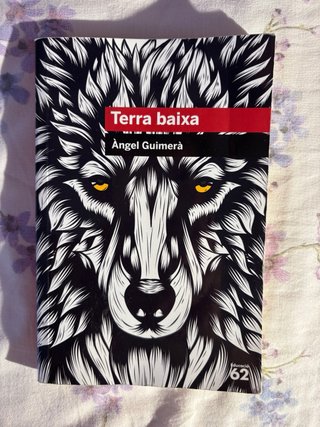 Terra baixa