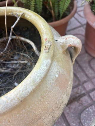 Jarrón Grande Terracota Beige