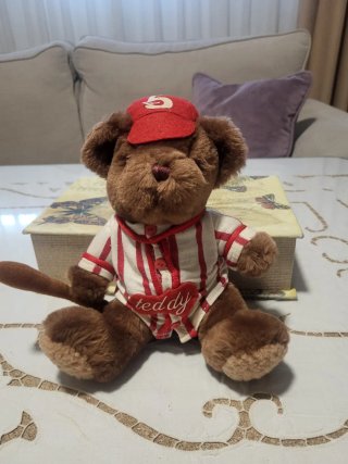 Osito Teddy Beisbolista