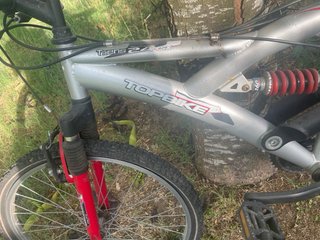 Bicicleta infantil TOPBIKE 24