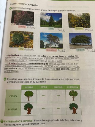 Libros de texto. 4 Primaria.
