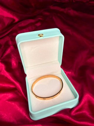 Pulsera Cartier Plata con Destornillador