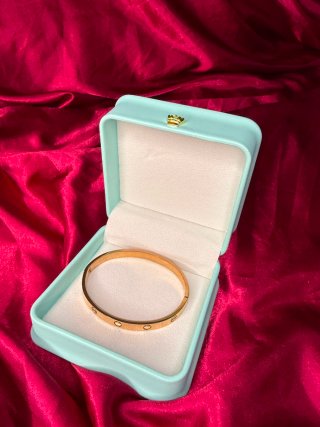 Pulsera Cartier Plata con Destornillador